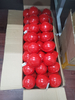 ED1500 Spherical Underground Electronic Marker